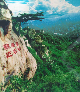 迎客松